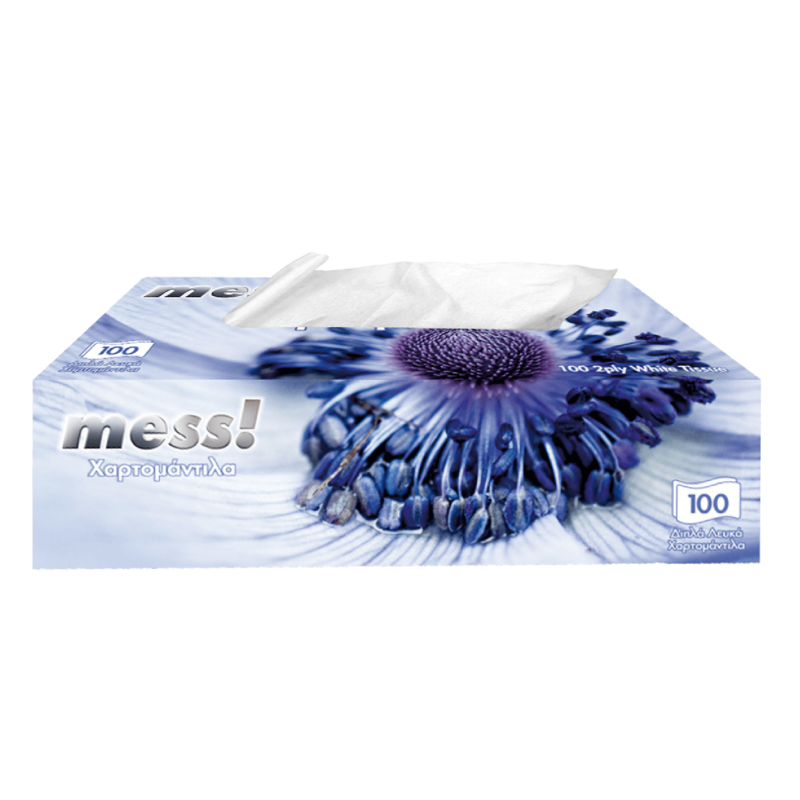5202453035690 – ΧΑΡΤΟΜΑΝΤΗΛΑ 2 MESS box copy