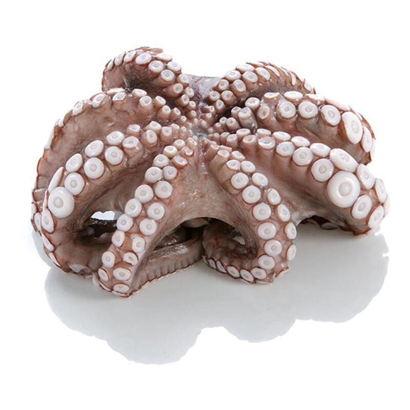 1052567 – Xtapodi IndoEirinikou miso me 1kg