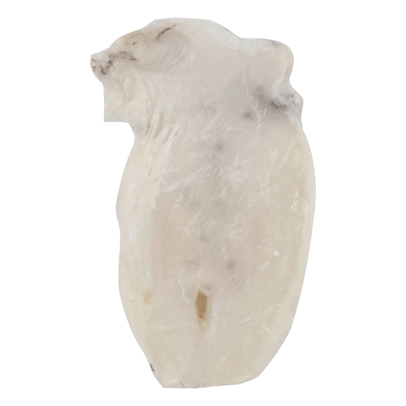 2986446 – soupia indias fileto